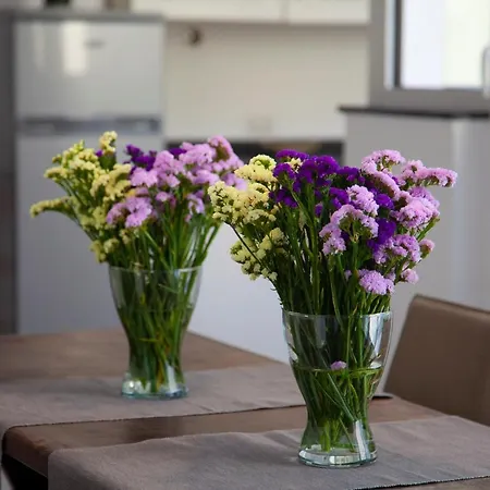 Daire Casa Del Plebiscito Napoli