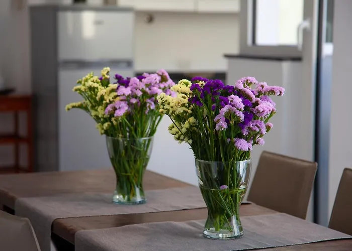 Apartment Casa Del Plebiscito Naples